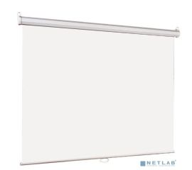 Экраны,пульты Д\У к экранам,системы голосования,крепления к проекторам