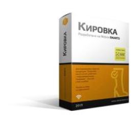 Программные продукты компании «Клеверенс»
