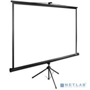 Экран Cactus TriExpert CS-PSTE-220x165-BK 165x220 см 4:3 напольный рулонный Товар под заказ