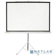 Экран Cactus Triscreen CS-PST-180X180 180х180см 1:1 напольный белый Товар под заказ