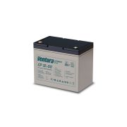 Аккумулятор CP 12-50