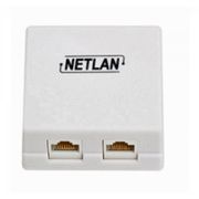 Розетка настенная компьютерная RJ45 (8P8C) Netlan кат. 5e двойная EC-UWO-2-UD2-WT